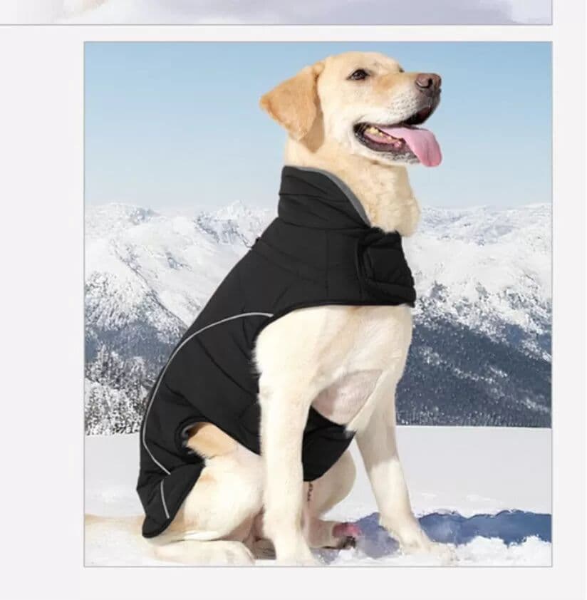 INF Winterwarmer Haustiermantel: Isolierte, wasserdichte Hundejacke mit reflektierenden Streifen M Schwarz