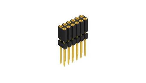 Fischer Elektronik Buchsenleiste (Präzision) Anzahl Reihen: 2 10026294 10St.