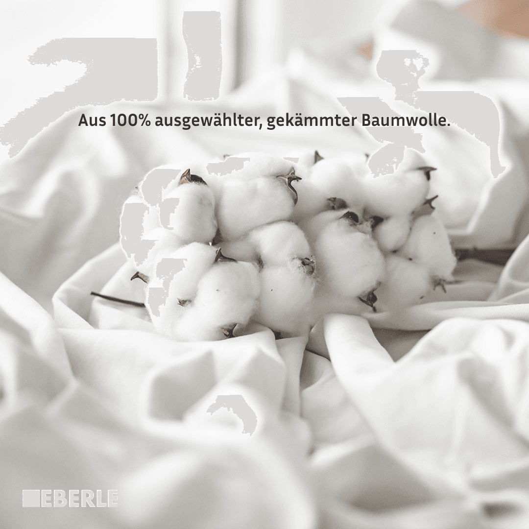 Spannbettlaken BELLANA "bellana exclusiv aus 100% Mako-Baumwolle, 150 g/m², bügelfrei", grau (kiesel), L:200cm, Mako-Jersey, Obermaterial: 100% Baumwolle, Bettlaken, Spannbettlaken, feinste Mako-Baumwolle, Spannbetttuch für Matratzen bis 25cm Höhe kiesel 
