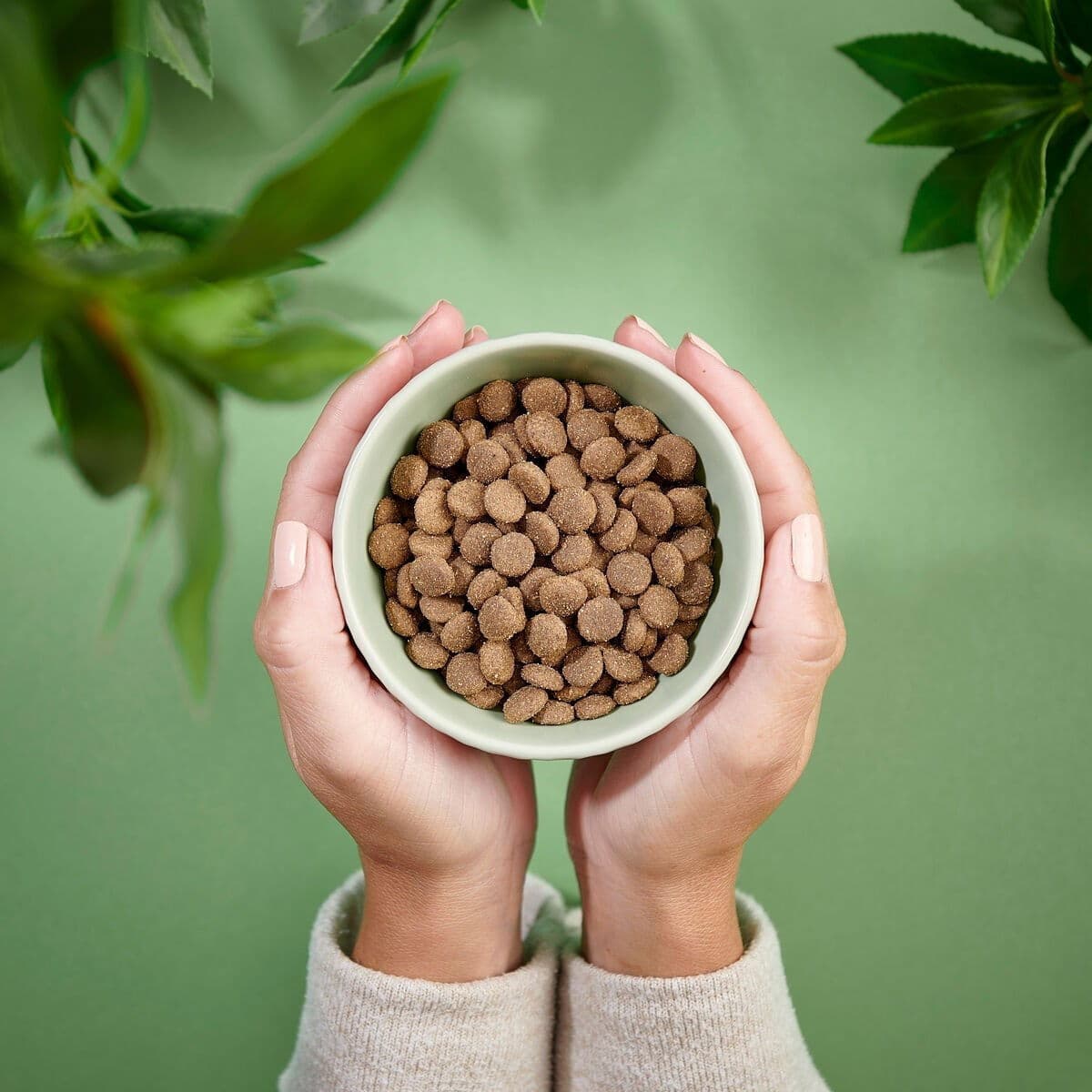 Purenatural Cat Adult Sensitive Pork Tørrfôr Til Katt