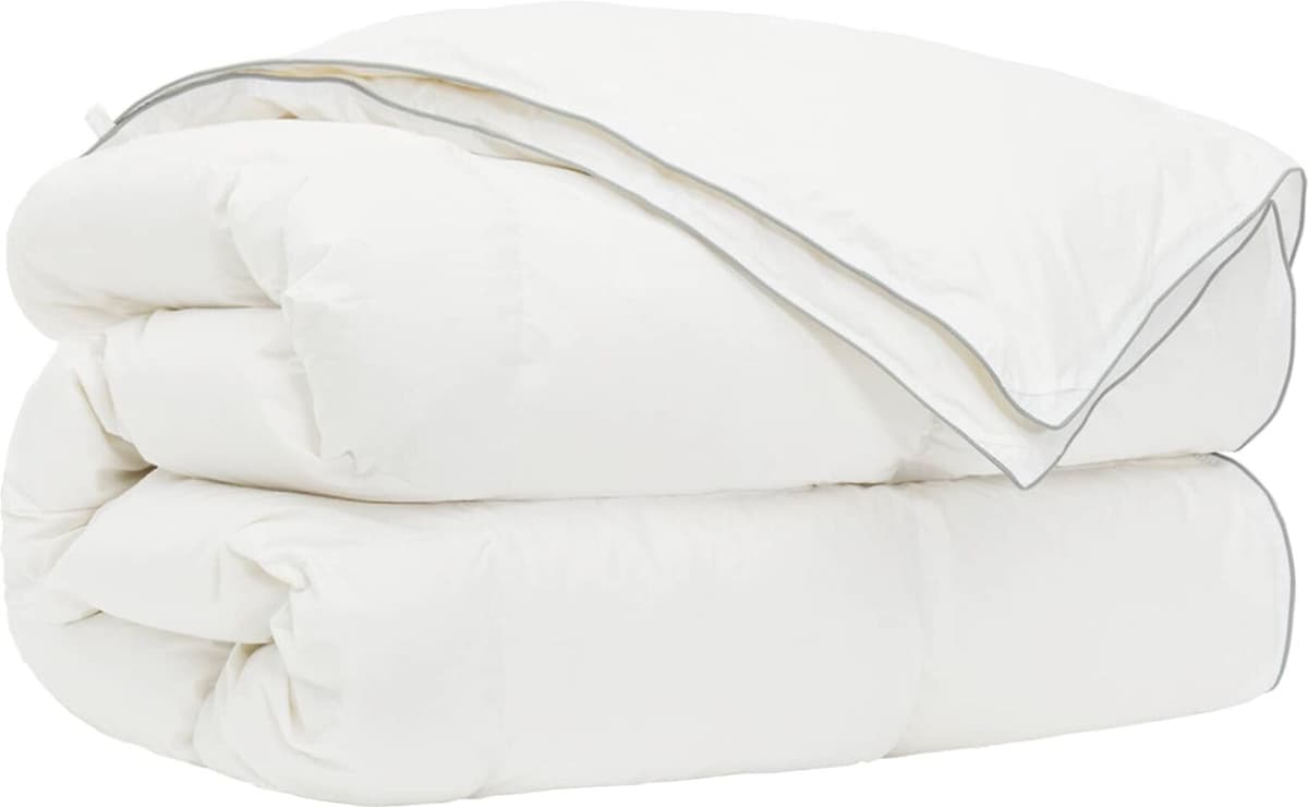 vidaXL Ensemble de couette 90 % en duvet d’oie FULDA 2 pc 150 x 200 cm