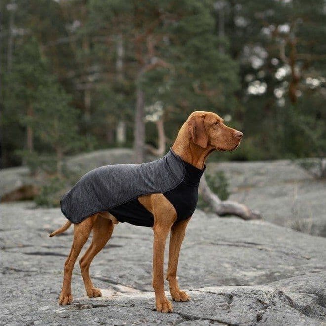 Feel Active Oslo Hundetrøye Grå