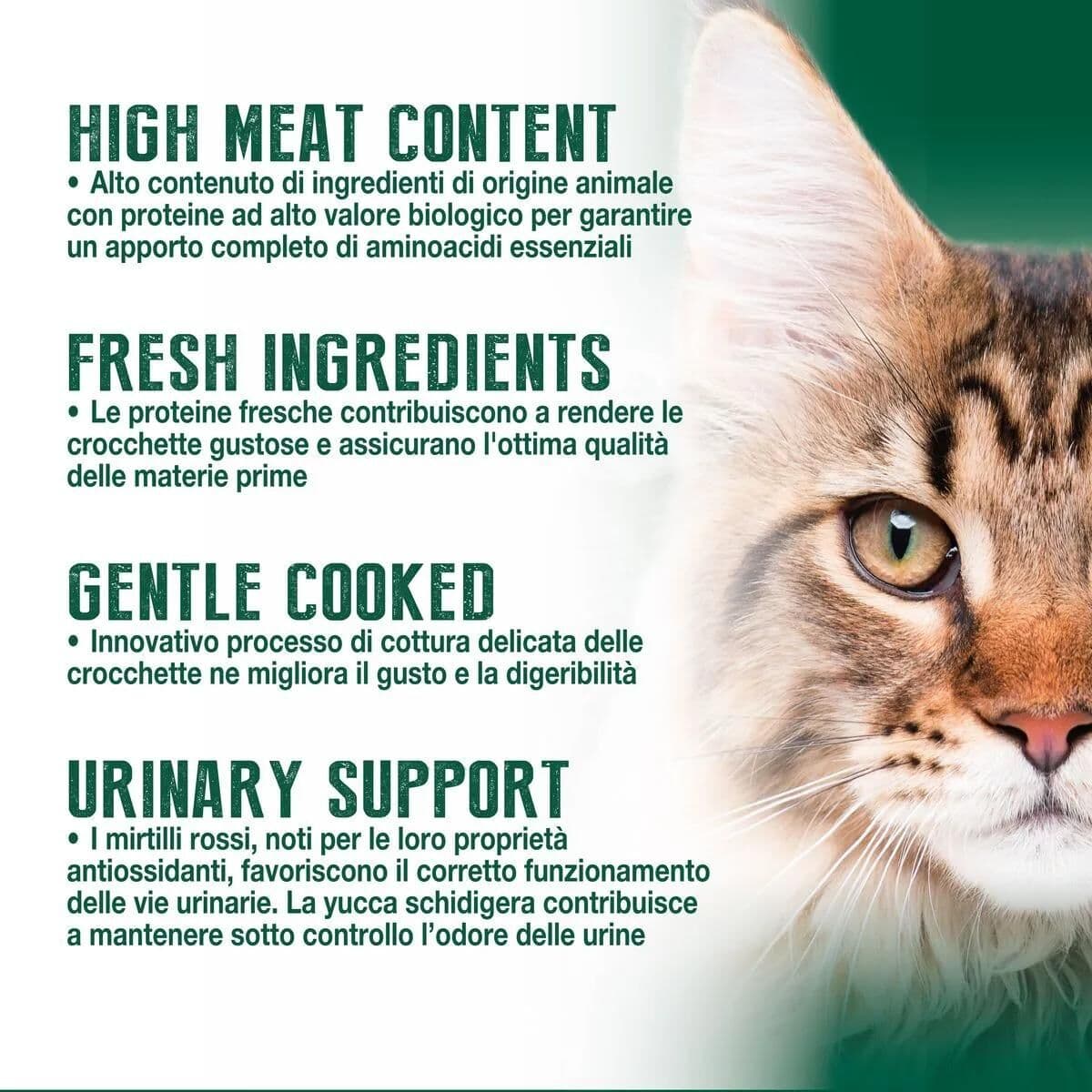 Virtus Cat Sterilised Primitive Formula KIT RISPARMIO 2X2.3KG