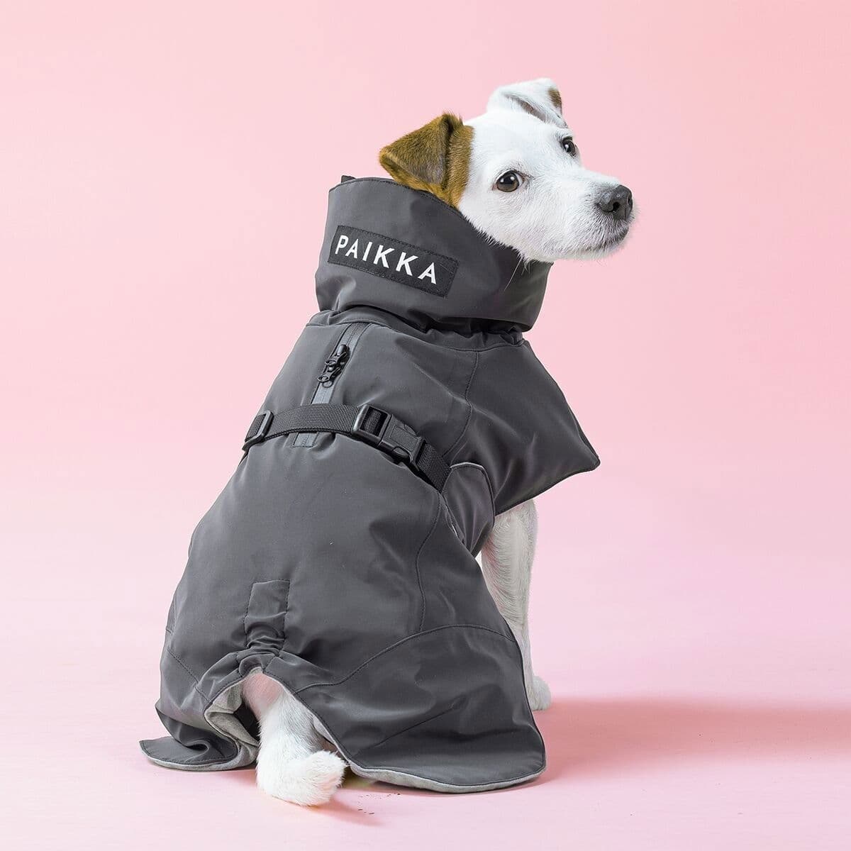 PAIKKA Visibility Vinterjakke Til Hund Svart