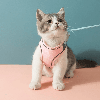 PetsAreLife Cat Luminous Harness & Leash Set Pink M