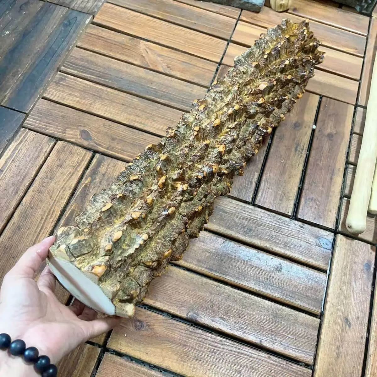 NONE Zanthoxylum Bungeanum Extra Thick Wild Zanthoxylum Bungeanum Log Wood Segment DIY Carving Material