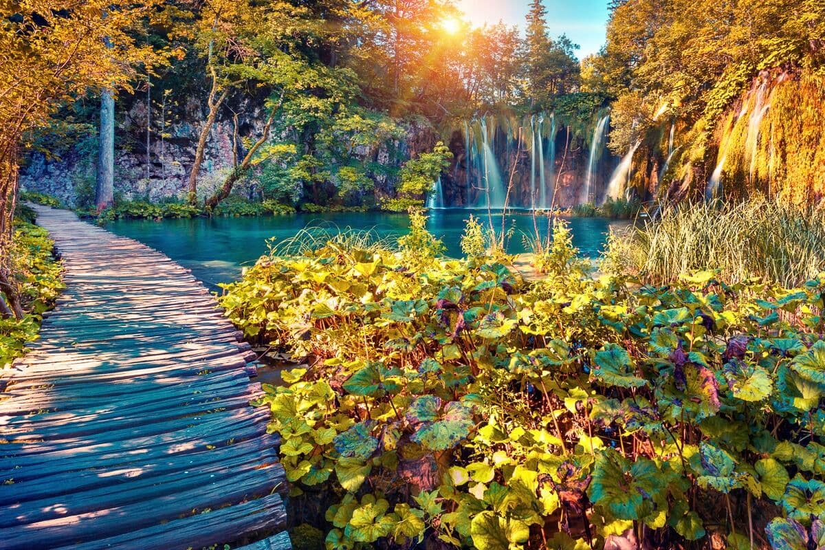 Fototapete PAPERMOON "Kirschblüten mit Fluss", bunt, B:1,5m L:1,11m, Vlies, Tapeten, Fototapete