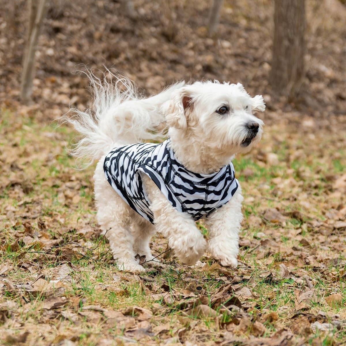 Rukka Zebra Hundetrøye