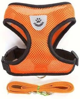 Uplift Picks Escape Proof Reflective Cat Harness And Leash Set For Outdoor Walking orange l