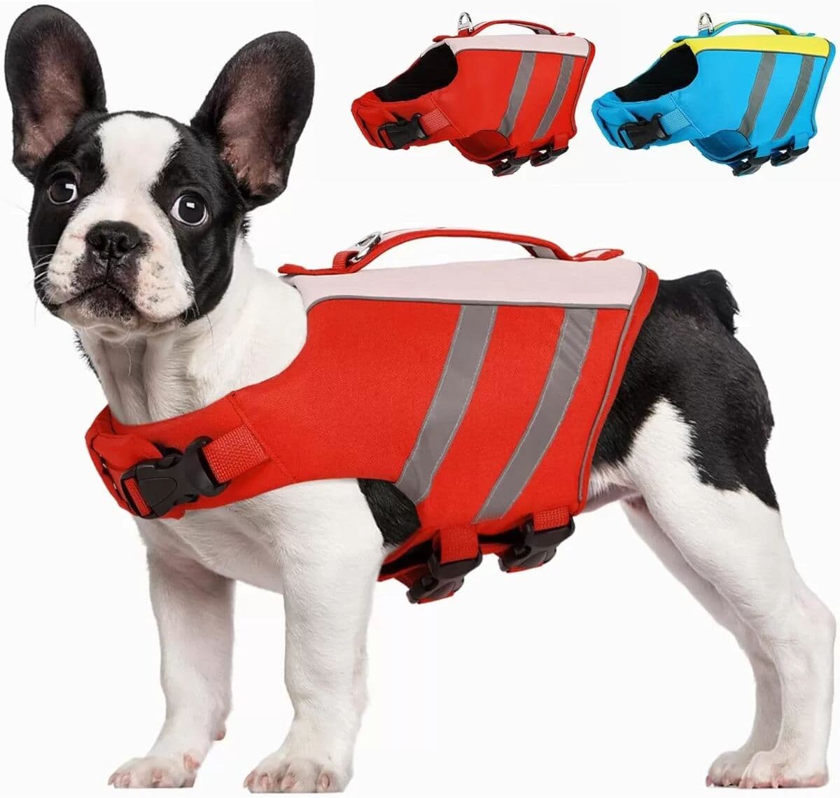INF Gilet de sauvetage d'été pour animaux - Gilet de bain pour chien en polyester avec bandes réfléchissantes pour sécurité Rouge S