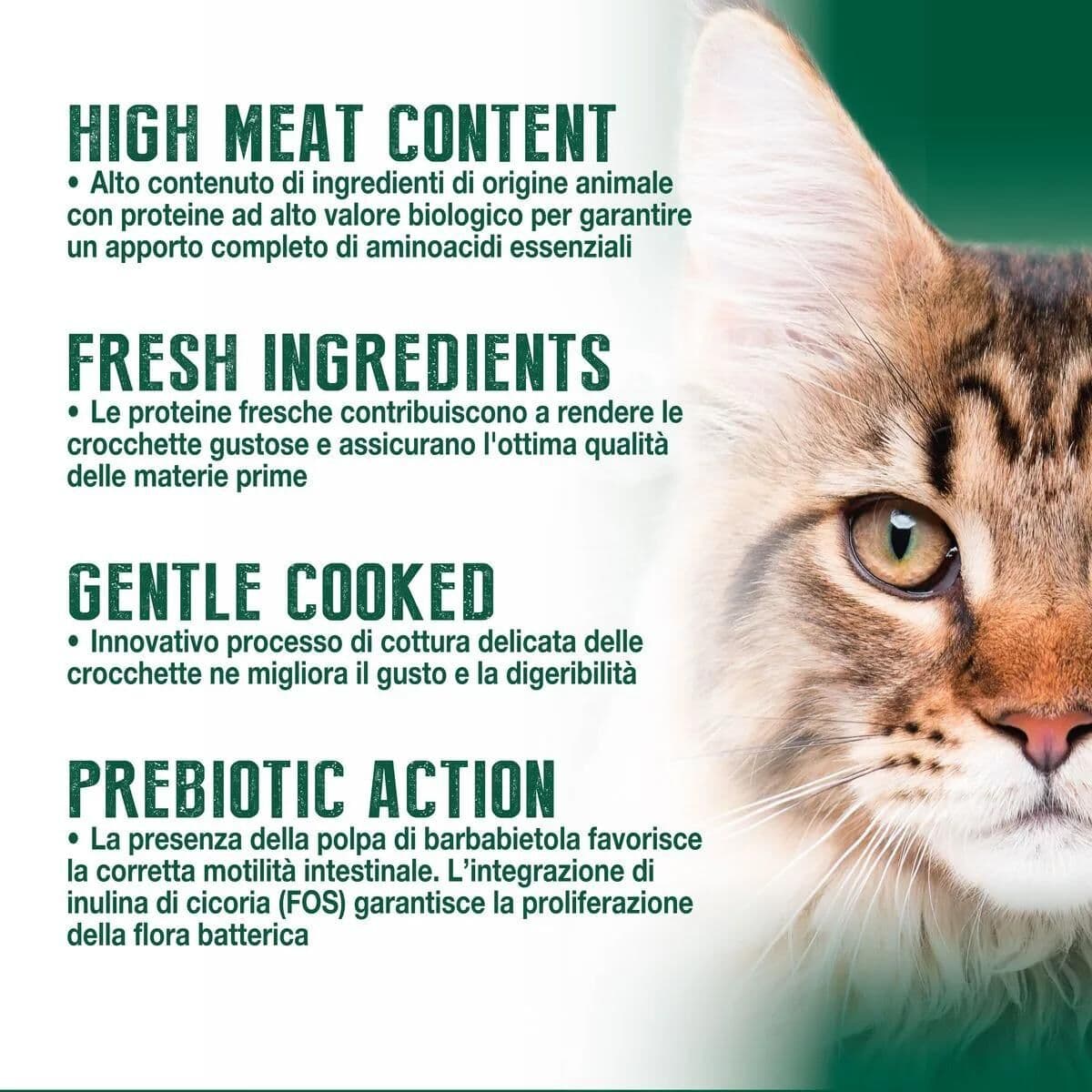 Virtus Cat Adult Farmland Formula KIT RISPARMIO 2X2.3KG