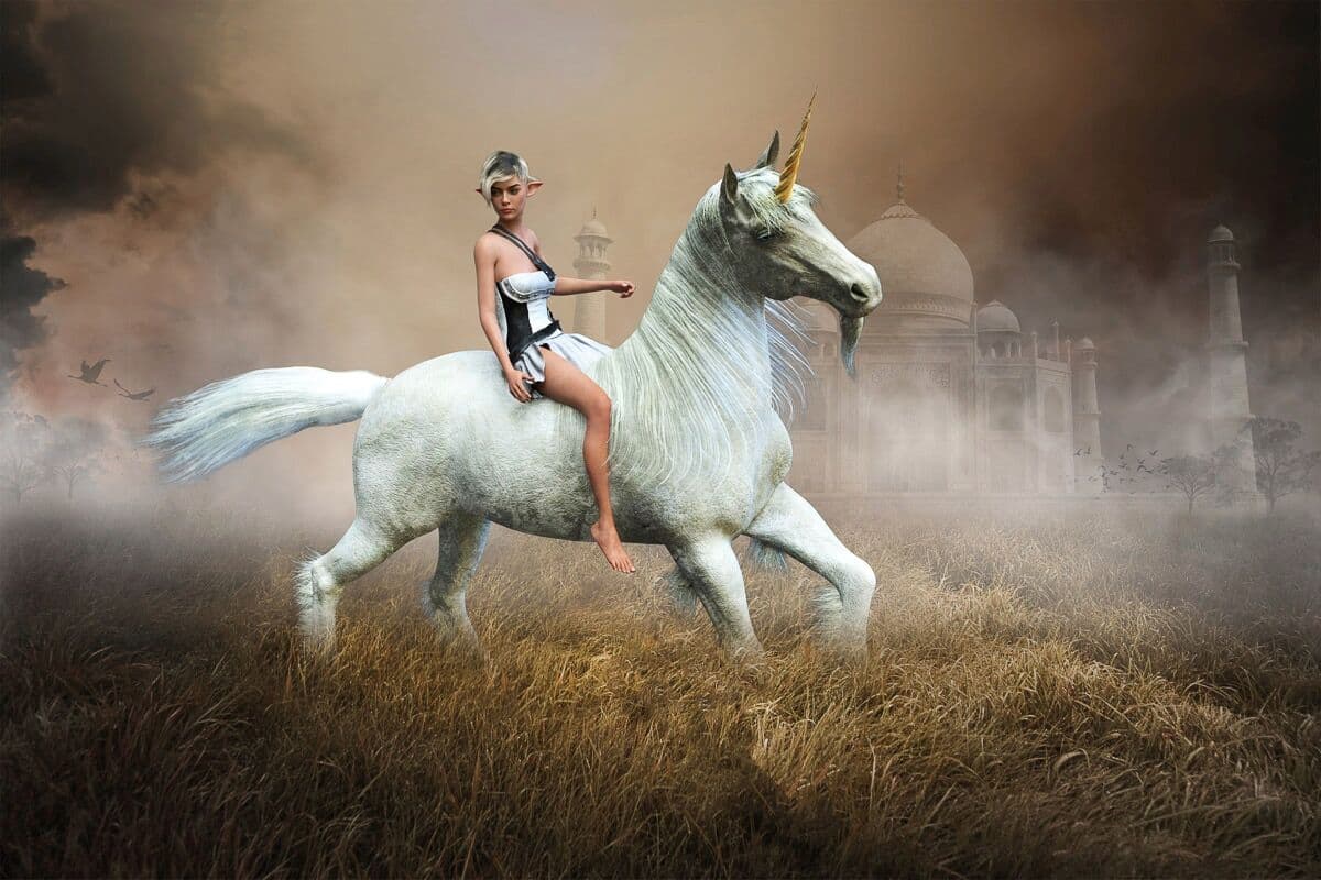 Fototapete PAPERMOON "Einhorn Fantasy Elf", bunt, B:3,5m L:2,6m, Vlies, Tapeten, Fototapete bunt B/L: 3,5m x 2,6m, Bahnen: 7 Stk.