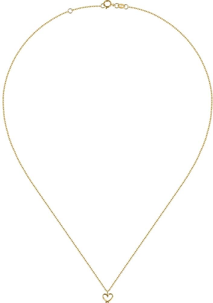 Collier Cleor  - D.3146900023 Femme