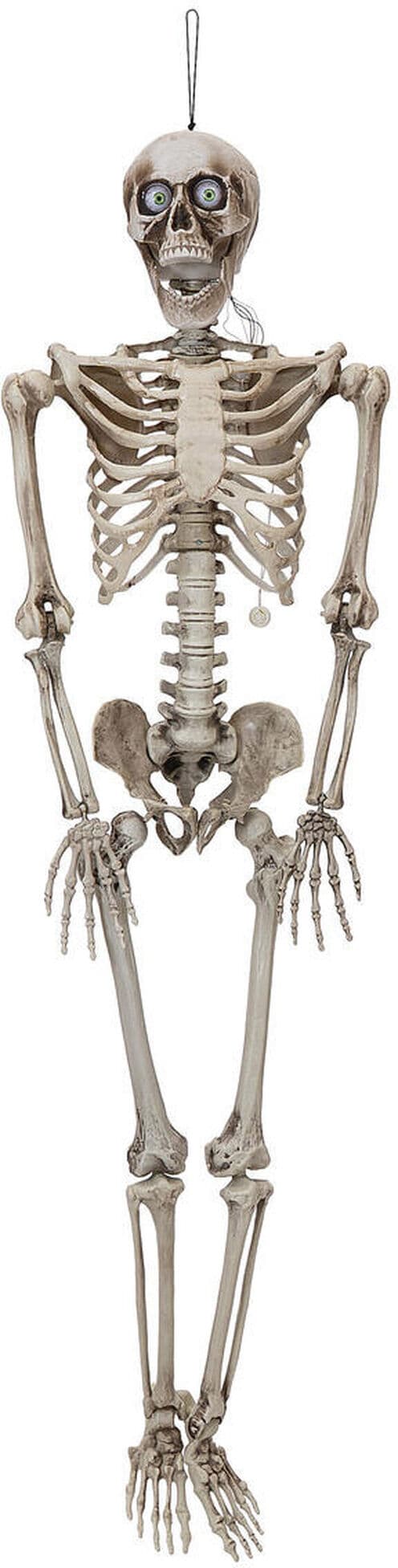 Europalms Halloween Figur Skelett Formbar, Animiert, 160cm