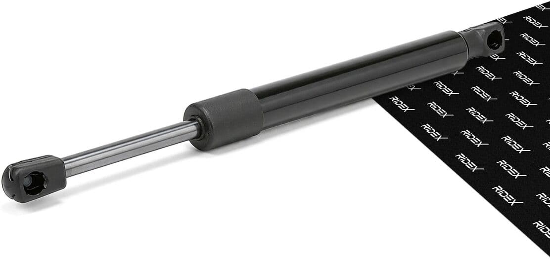 RIDEX 219G0251 Gasveer achterklep