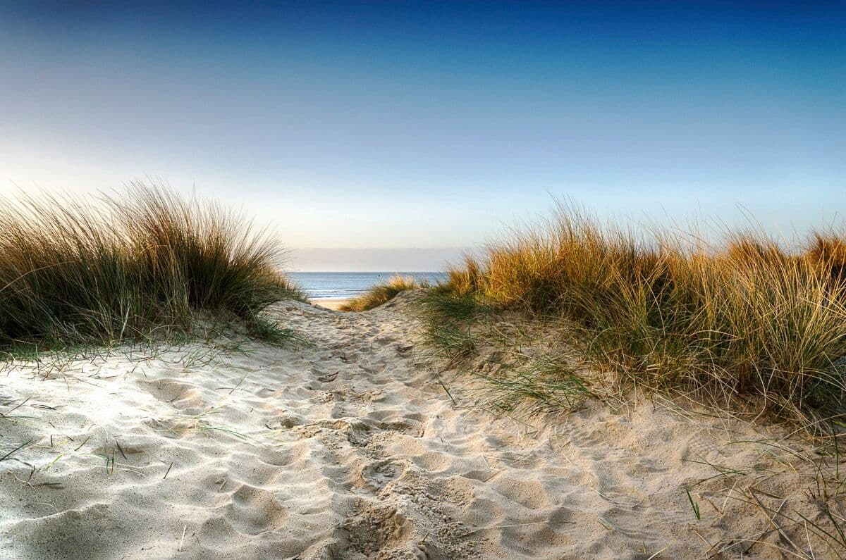 Fototapete PAPERMOON "Strand", bunt, B:4m L:2,6m, Vlies, Tapeten, Fototapete bunt B/L: 4m x 2,6m, Bahnen: 8 Stk.