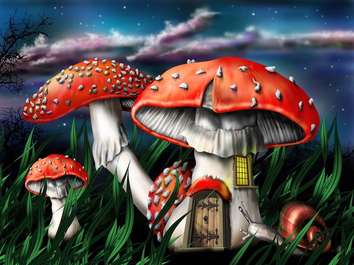 Papermoon "Zauberpilze" bunt B/L: 4m x 2,6m, Bahnen: 8 Stk.