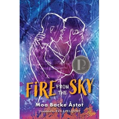 Fire from the Sky, Taschenbuch von Moa Backe Åstot, Workman, 978-1-64614-556-0
