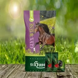 St. Hippolyt Glyx Wiese Heucobs 20 kg + St. Hippolyt Lobs Belohnungswürfel 2 x 1 kg geschenkt