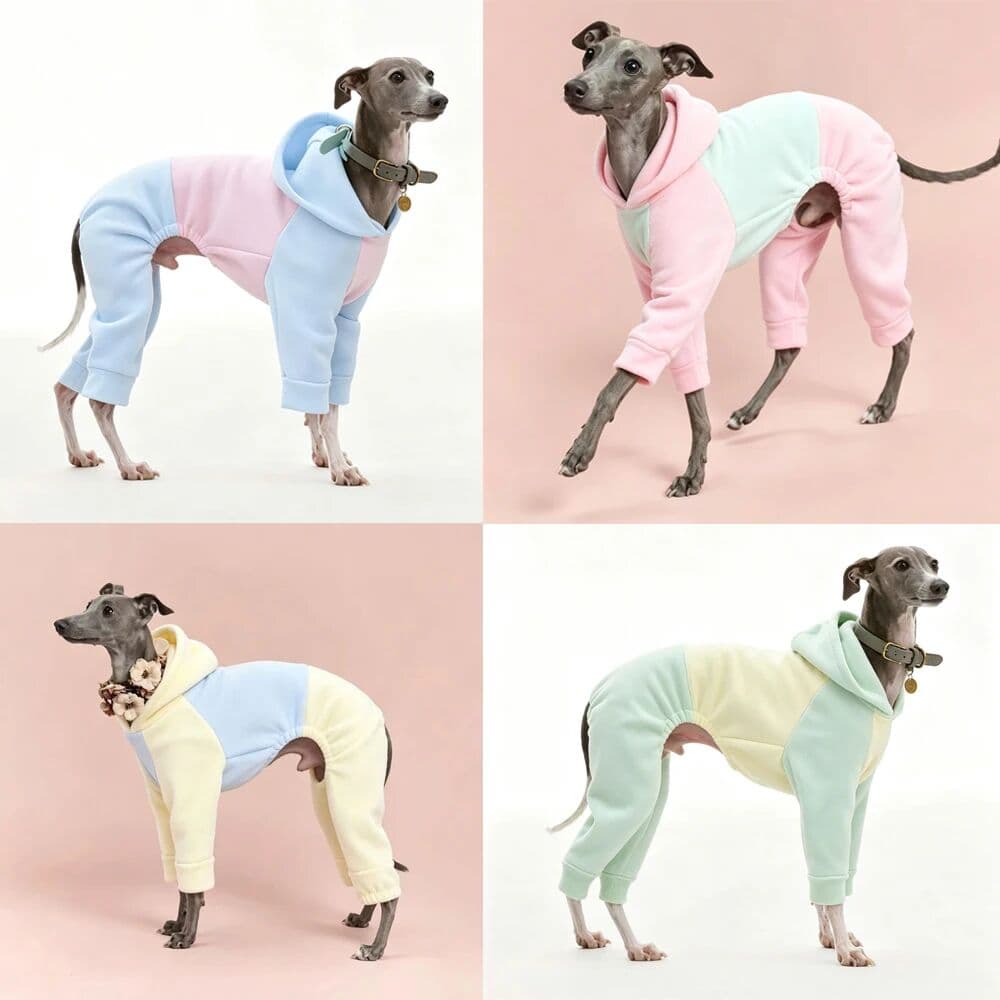 NONE Winter Clothes for Dogs Warm 4-legged Fleece Sweatshirt for Italian Greyhound Whippet Soft Color Block Coat in Autumn