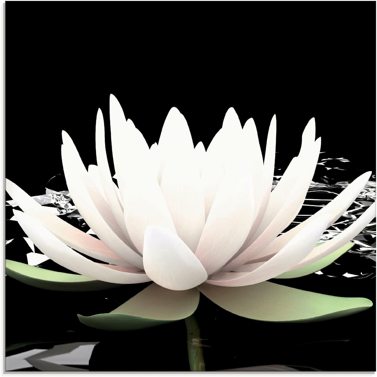 Glasbild ARTLAND "Zwei Lotusblumen auf dem Wasser", schwarz (farbe bild(er): schwarz), B:40cm H:40cm, Bilder, Glasbild, in verschiedenen Grössen farbe bild(er): schwarz B/H/T: 40cm x 40cm, Glasbild Blumen, 1 Stk.