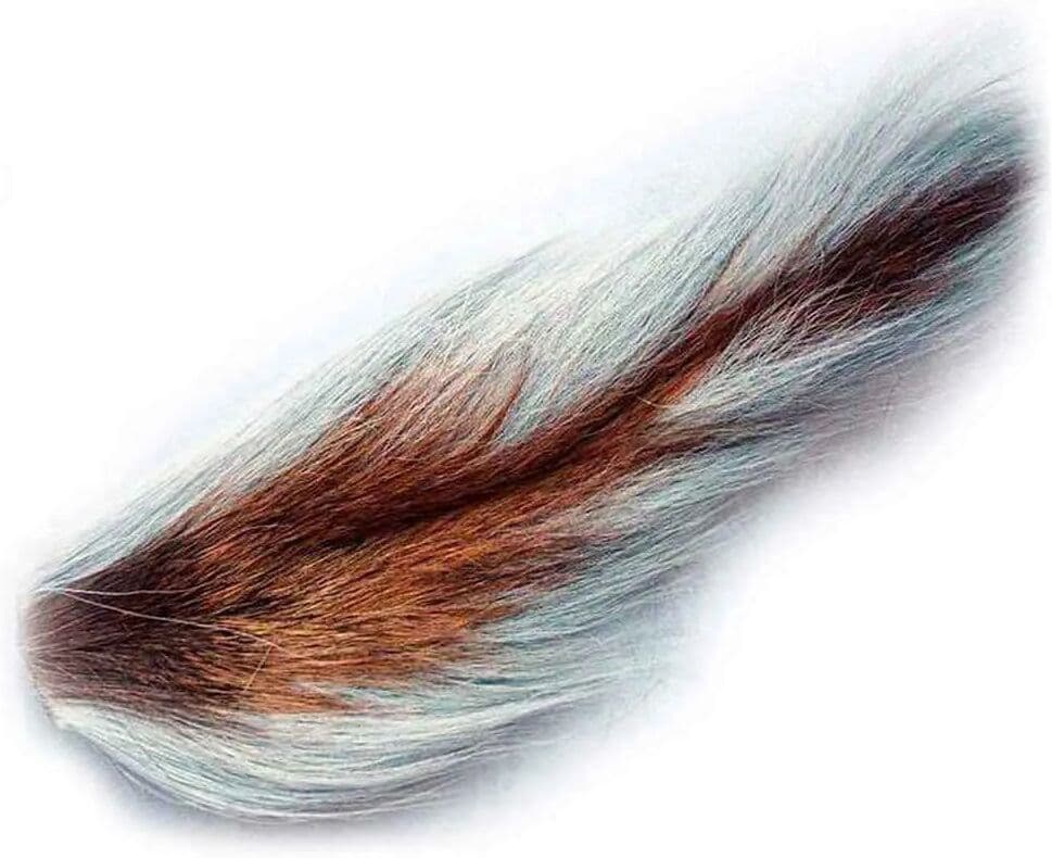 Baetis Cola Of Gamo Buck 201 One Size