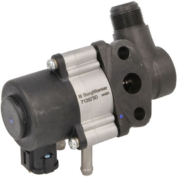 Borg Warner Egr-Venttiili Wahler 712073d