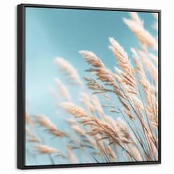 LEINWAND Bilder mit Rahmen - Ziergras - Wind - Hellbraun - 50x50