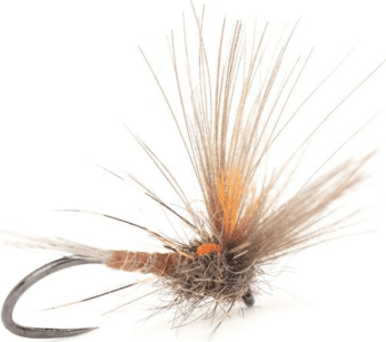 Umpqua Flies Split Wing Dun – Golden Olive #18