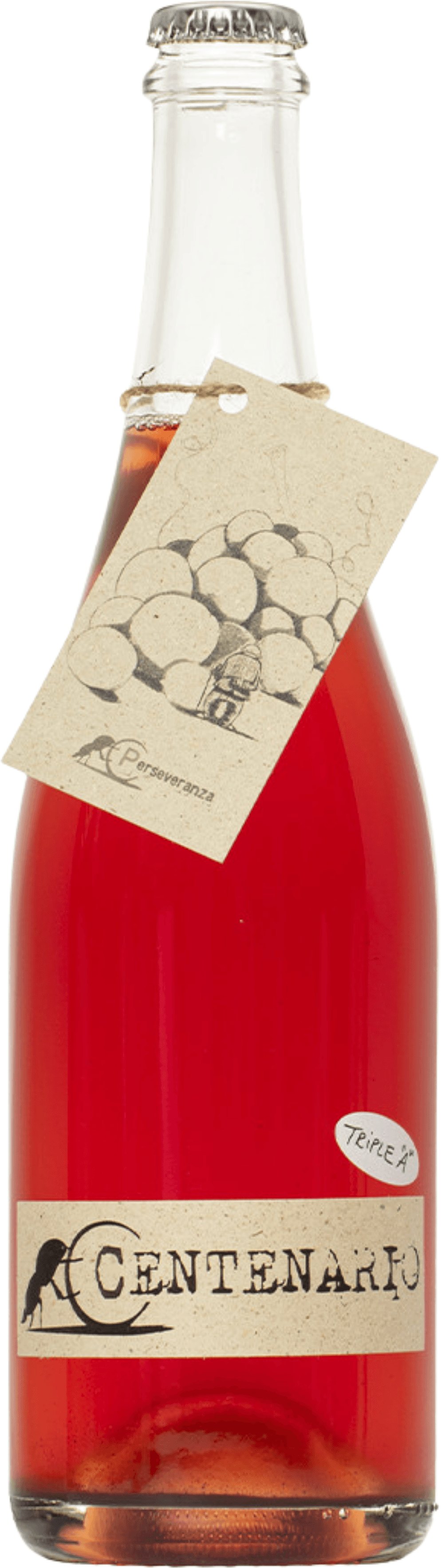 Lambrusco Rosato 'Centenario' Perseveranza 2023