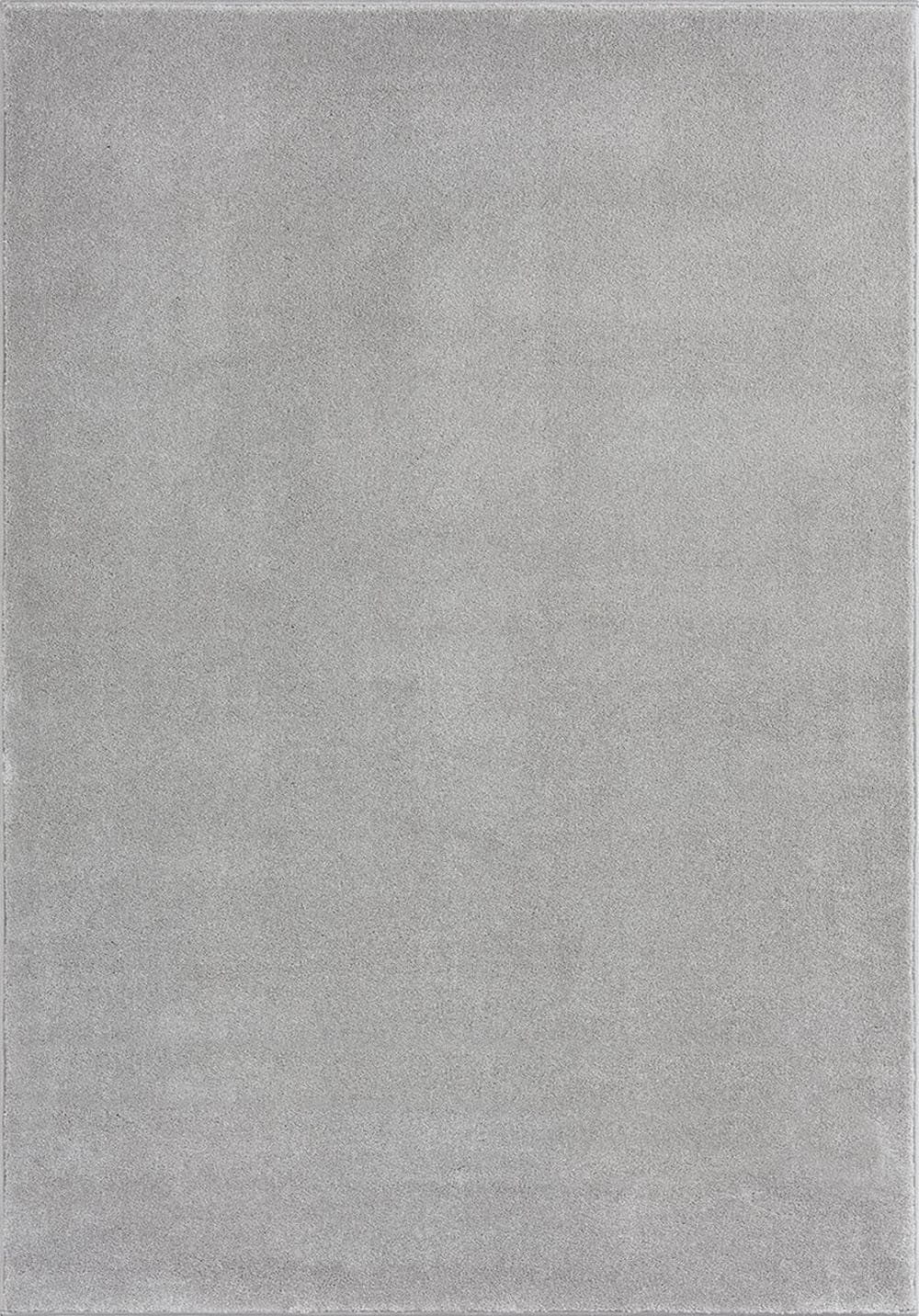 The carpet Alfombra elegante salón, plata, 120 x 170 cm