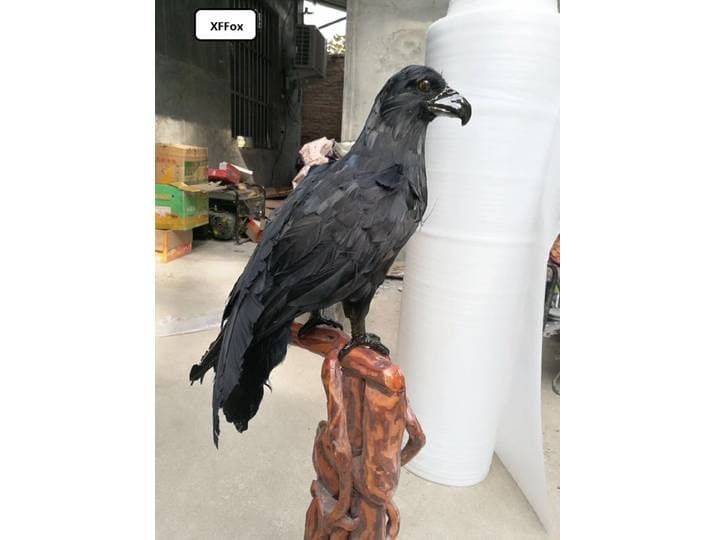 Modèle d'aigle noir de 50 cm, simulation en mousse et plumes, oiseau noir, cadeau, décorations pour la maison, artisanat artificiel