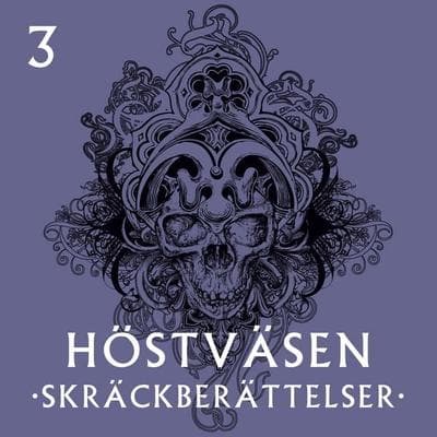 Nattsköterskan - Magnus Nordin, Audio, 9789177918141