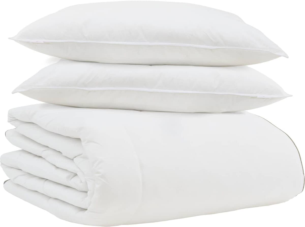 vidaXL Duvet d'hiver 240 x 220 cm 320 GSM Down Feather Blanc