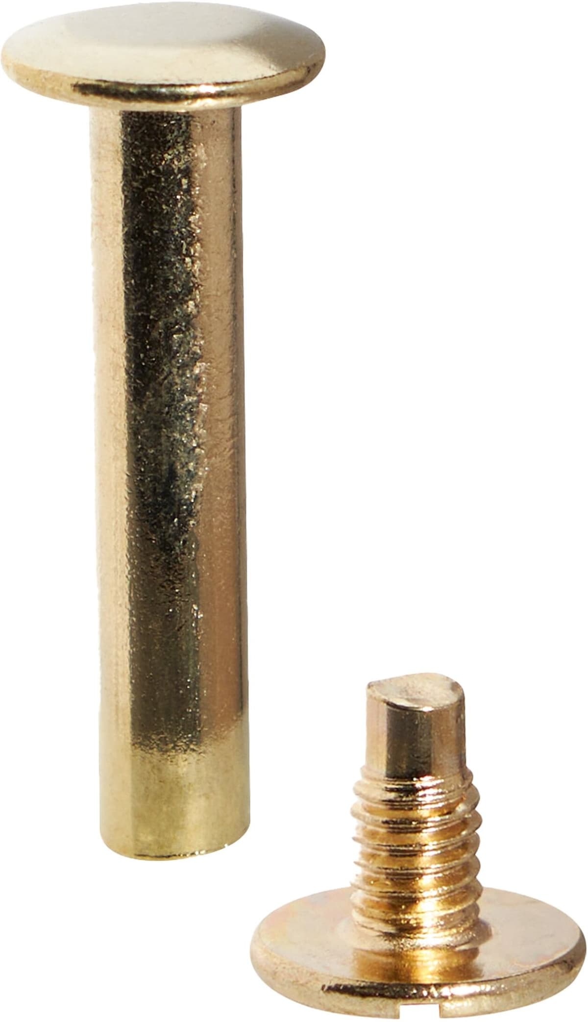 SPRINTIS 100 Unidades - Tornillos para encuadernar, latonados casquillo liso, Tornillos ranurados   28 mm, metal, dorado