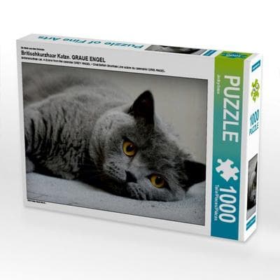 CALVENDO Puzzle Britischkurzhaar Katze. Ein Motiv aus dem Kalender GRAUE ENGEL 1000 Teile Puzzle quer | 1000 Teile Lege-Größe 64 × 48 cm Foto-Puzzle